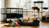 Nieuwe producten voor huisdieren bij outlethal.nl