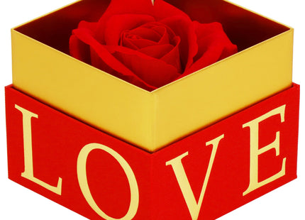 Eeuwige Roos - Geschenkdoos - Geschenkbloem - Valentijnsdag - Liefde - Rood