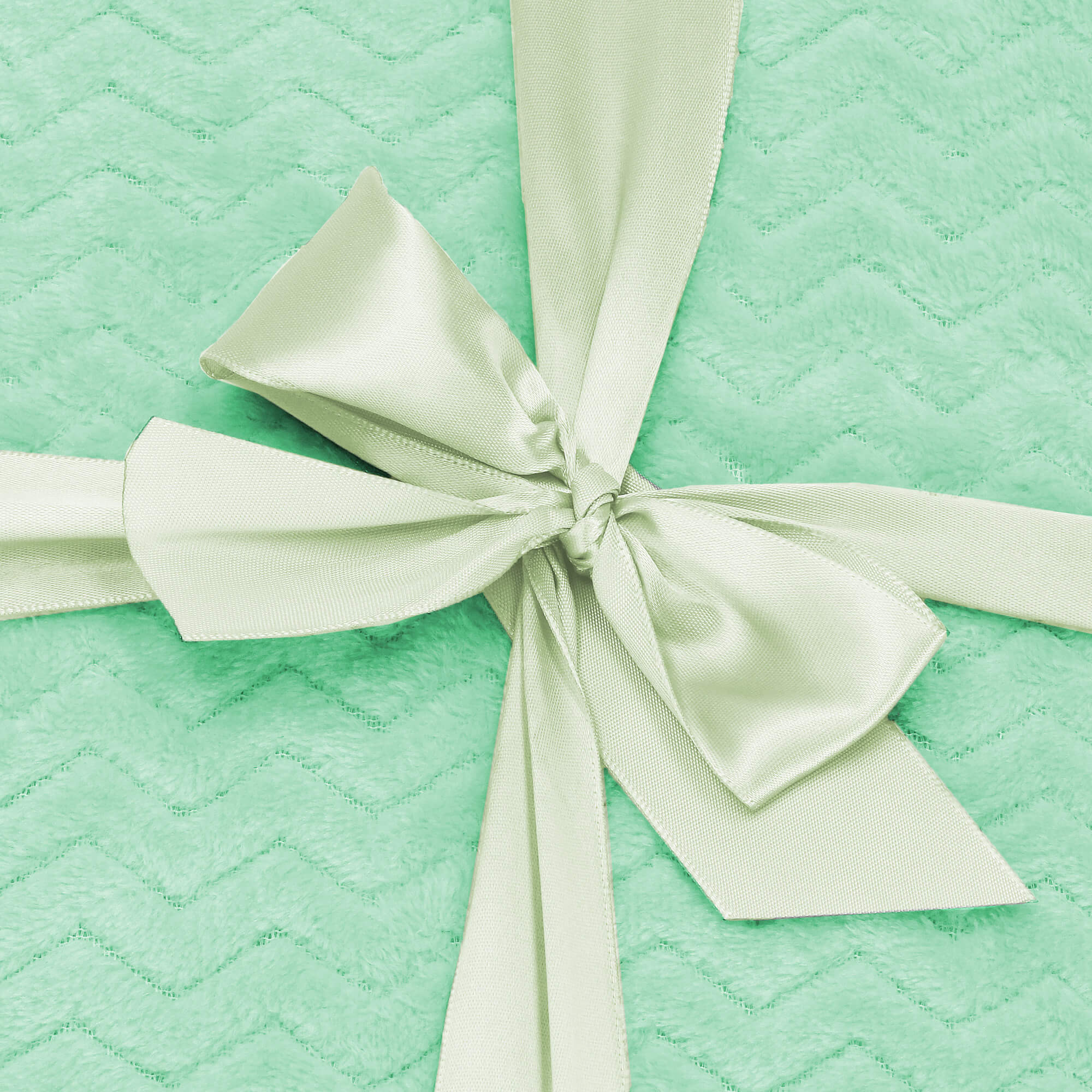 Plaid | Sprei | Bankdeken | Deken | 200 x 220 cm | Pluche | Lichtgroen