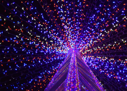 Kerstboomverlichting | Met 300 LED Lampjes | 18 M | Multicolor
