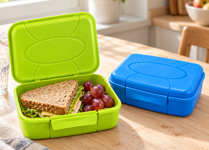 Broodtrommels 1,3 Liter – Set van 12 Stuks – Lunchboxen met Klikdeksel – Groen en Blauw