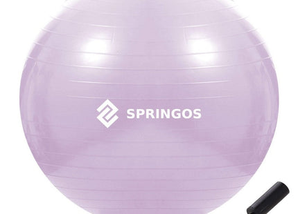 Fitness Bal | Paars | Inclusief Pomp | 65 cm