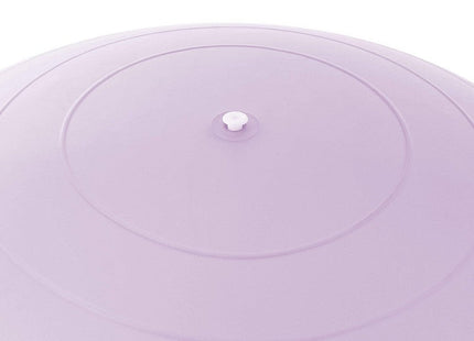 Fitness Bal | Paars | Inclusief Pomp | 65 cm