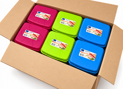 Broodtrommels 3 Liter – Set van 12 Stuks – Assorti Kleuren – Grote Lunchboxen met Klikdeksel