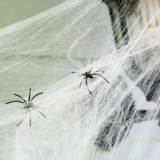 Halloween Decoratie - Spinnenweb - 1.9 M