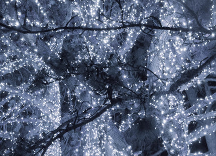 Kerstverlichting | 90 m | 1500 LED | Koel Wit