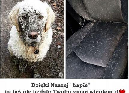Autostoelhoes Voor Honden - Autostoelbeschermer- Stoelhoes - Bescherming - Eco - Leer - Zwart - Universeel