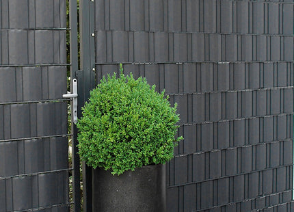 Vlechtband | Privacyfolie | Voor Tuinafsluiting | PVC | 35 m | 450 g/m² | Antraciet