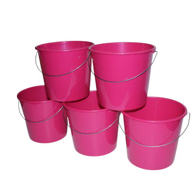 Set van 5 huishoudemmers van 10 liter in de kleur roze, met ijzeren handvat