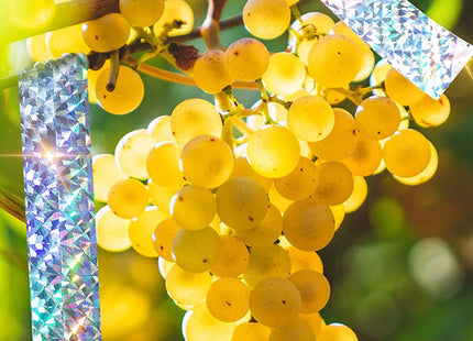 Vogelafwerende Tape - Vogel Verschrikker - Reflecterend - Verjager