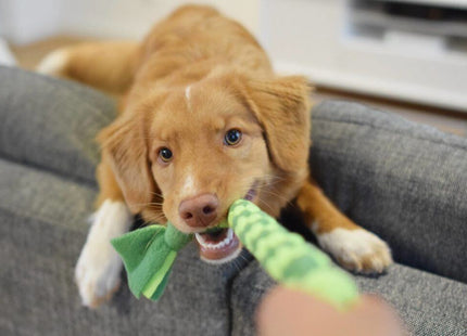 Hondensnuffelmat - Hondenspeelgoed - Gebit - Reiniging - Ontspannen -Fleece - Groen - Geel