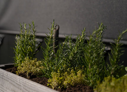 Kweekbak - Plantenbak - Moestuin - Planten - Hout - Geïmpregneerd - Rechthoekig - Grijs - 80 x 40 x 50 Cm