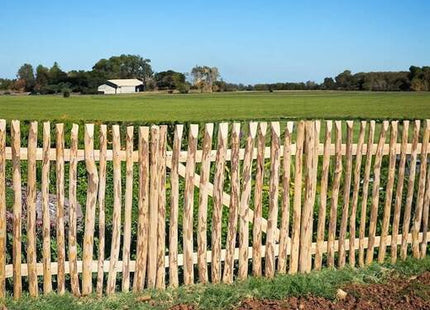 Poort - Schapenhek - Tuinhek  - Hazelaarhout  - Wicket - 50x100 cm - Bruin