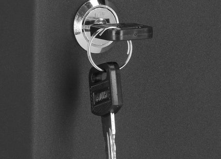 Sleutelkluis | Sleutelkast | Sleutelbox | 100 Haken | 30 x 24 x 7 cm | Zwart