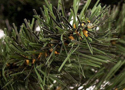 Kunstkerstboom | Green Fir | 150 cm | Zonder Verlichting