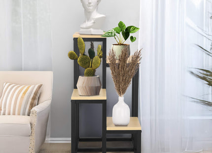 Plantenrek | Plantenstandaard | Plantentrap | 4 Niveaus | Hout | Zwart