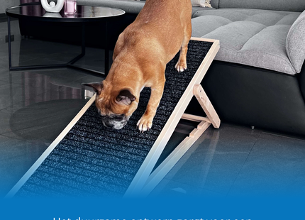 Hondentrap - Hondenloopplank - Instelbaar - Voor Grote en Kleine Honden - Zwart/Hout - 78 Cm