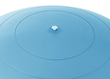 Fitness Bal | Lichtblauw | Inclusief Pomp | 55 cm