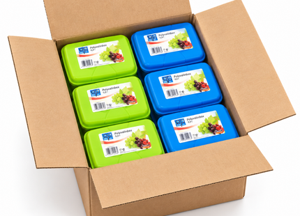 Lunchboxen 0,9 Liter – Set van 12 Stuks – Vershoudbakjes met Klikdeksel – Groen en Blauw