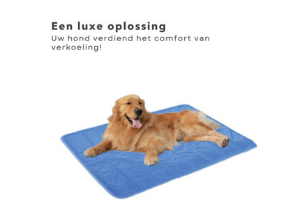 Koelmat voor Honden en Katten - Verkoelende Mat - Hondenmat - 65x50 cm