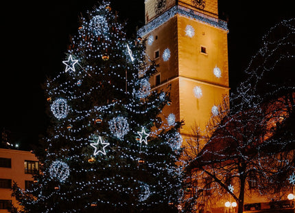 Kerstverlichting | 30 m | 500 LED | Koel Wit