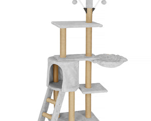 Collection image for: Huisdieren