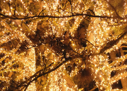 Kerstverlichting | 15 m | 300 LED | Warm Wit