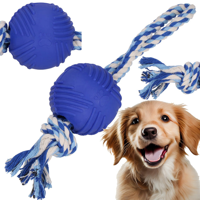 Hondenspeelgoed - Kauwbeen - Apporteren -Honden - Speeltje -Blauw - Rubber