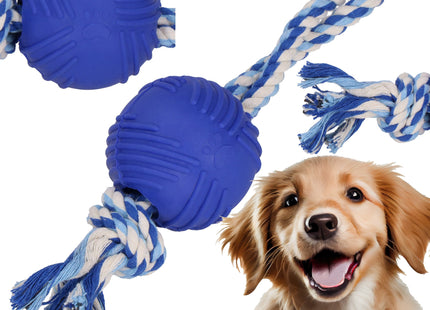 Hondenspeelgoed - Kauwbeen - Apporteren -Honden - Speeltje -Blauw - Rubber