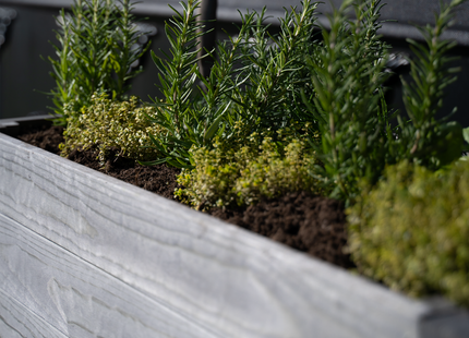 Kweekbak - Plantenbak - Moestuin - Planten - Hout - Geïmpregneerd - Rechthoekig - Grijs - 80 x 40 x 78 Cm