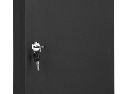 Sleutelkluis | Sleutelkast | Sleutelbox | 100 Haken | 30 x 24 x 7 cm | Zwart