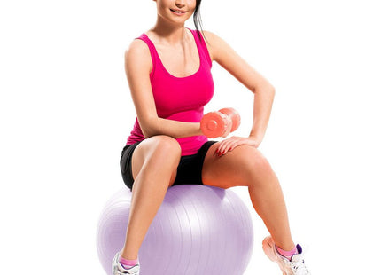 Fitness Bal | Paars | Inclusief Pomp | 65 cm