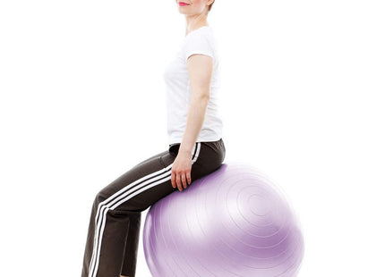 Fitness Bal | Paars | Inclusief Pomp | 65 cm