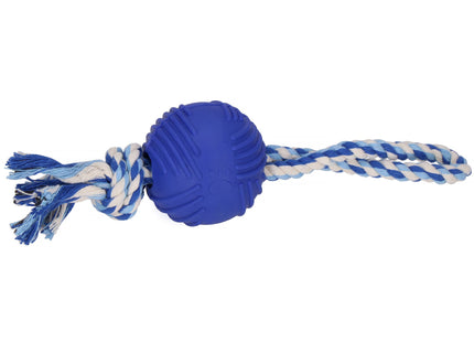 Hondenspeelgoed - Kauwbeen - Apporteren -Honden - Speeltje -Blauw - Rubber