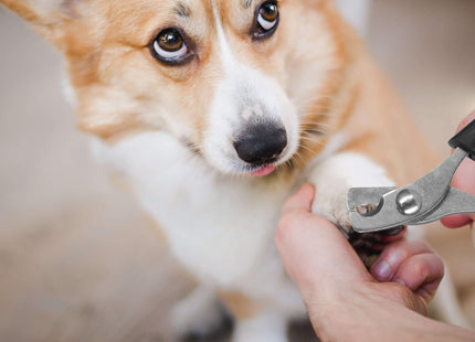 Nagelknipper- Huisdieren - RVS - Zwart/Rood