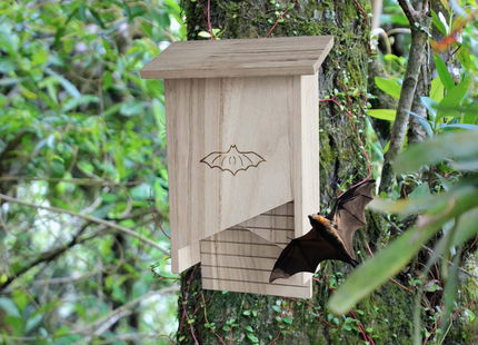 Vleermuizenhuis - Vleermuizenkast - Hout - 25 x 38 x 11,5 cm
