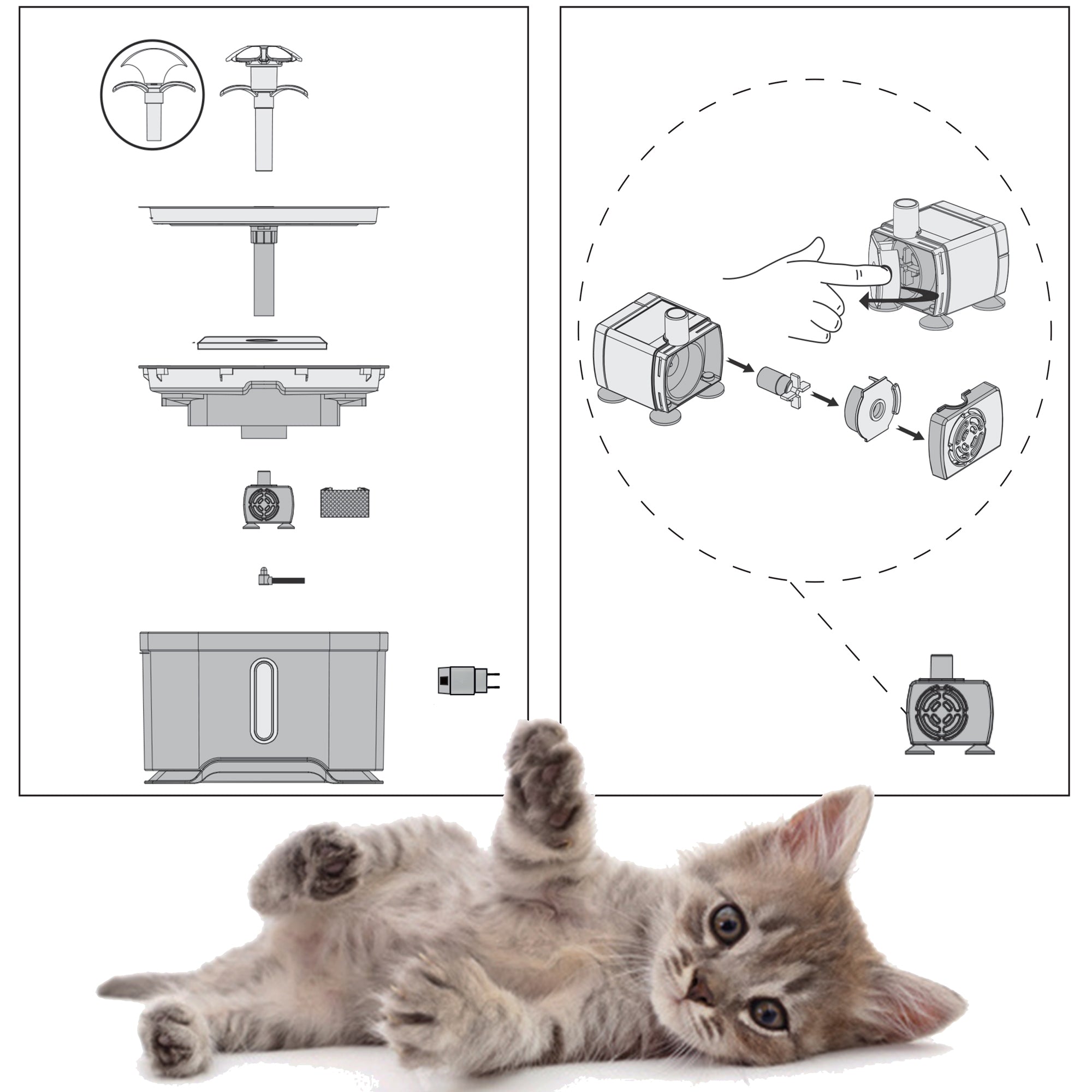 Waterdispencer - Voor Dieren - Verlicht - Fontein - Drinkbak - Waterbak - 2.5 L