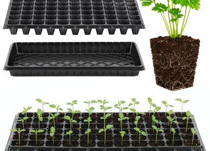 Moestuinbakken - 2 stuks -  Zaailingen Tray - 66 Cellen Kweker voor Groenten en Kruiden - Geschikt voor beplanting