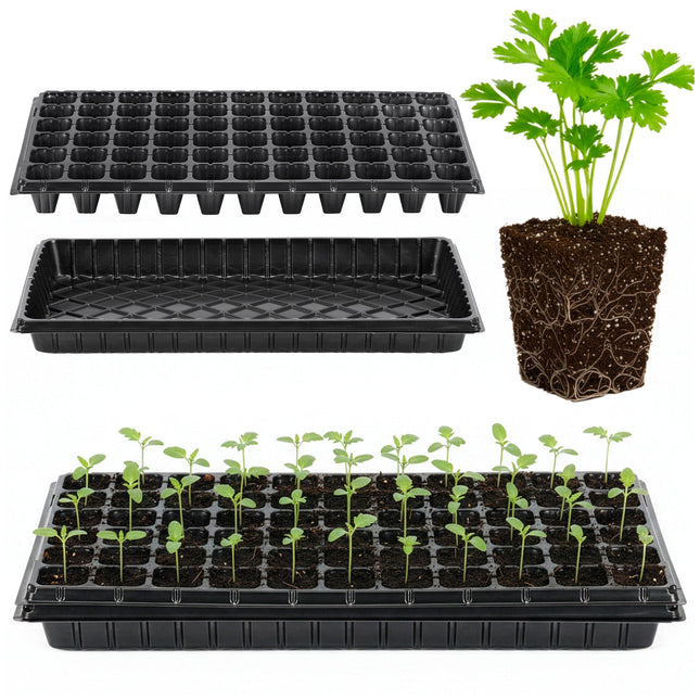 Moestuinbakken - 2 stuks -  Zaailingen Tray - 66 Cellen Kweker voor Groenten en Kruiden - Geschikt voor beplanting